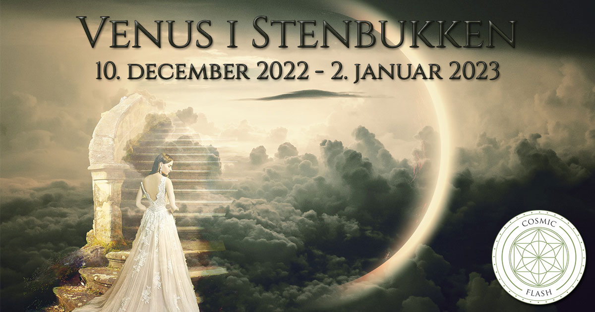 You are currently viewing Venus i Stenbukken 2022
