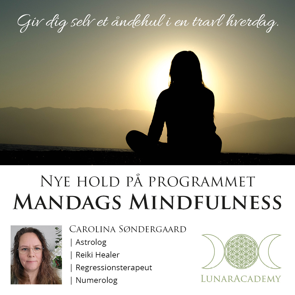 Mandags Mindfulness v. Carolina Søndergaard