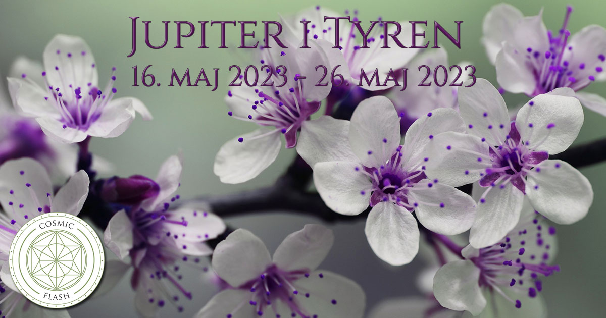 You are currently viewing Jupiter i Tyren 2023 – 2024