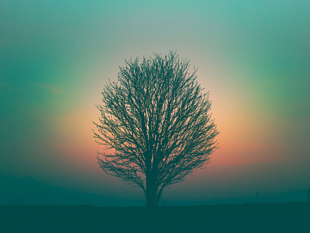Lær at meditere ved Mandags Mindfulness hos LunarAcademy.